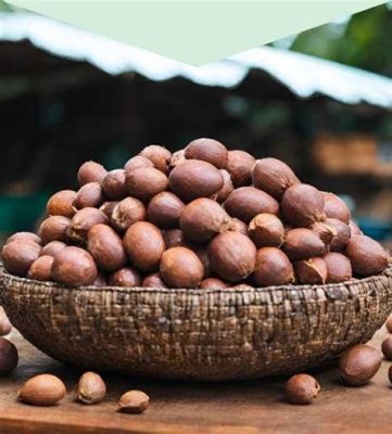 A Kola Nut Dream: Unraveling the Mystical Significance of This 19th Century Mexican Folktale!