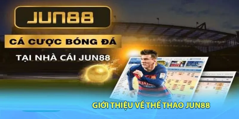 Cá cược thể thao lúc nào cũng sôi động